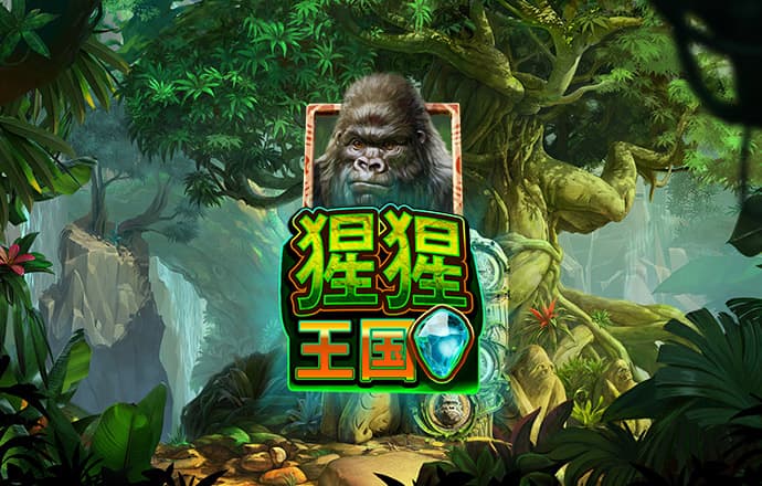 BOB体育综合登录入口